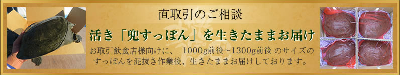 活きすっぽん直取引のご相談