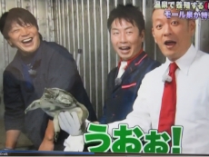 2025年1月 TV: ATV青森放送 特番「青森 オモテ ウラグルメ」放映