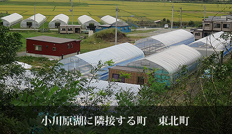 小川原湖に隣接する町 東北町