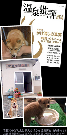 缶バッチにもなりました